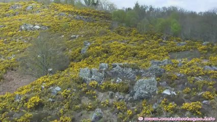Lac de Guerlédan et les principaux sites touristiques du pays
