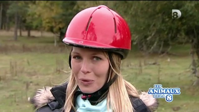 D8_Garde animaux_ Animal Futé et l’échange de garde d’animaux entre particuliers