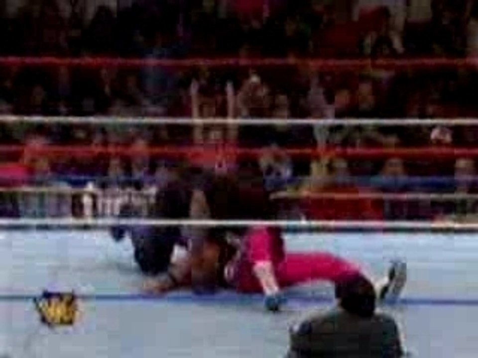 wwe undertaker breaks bret harts neck