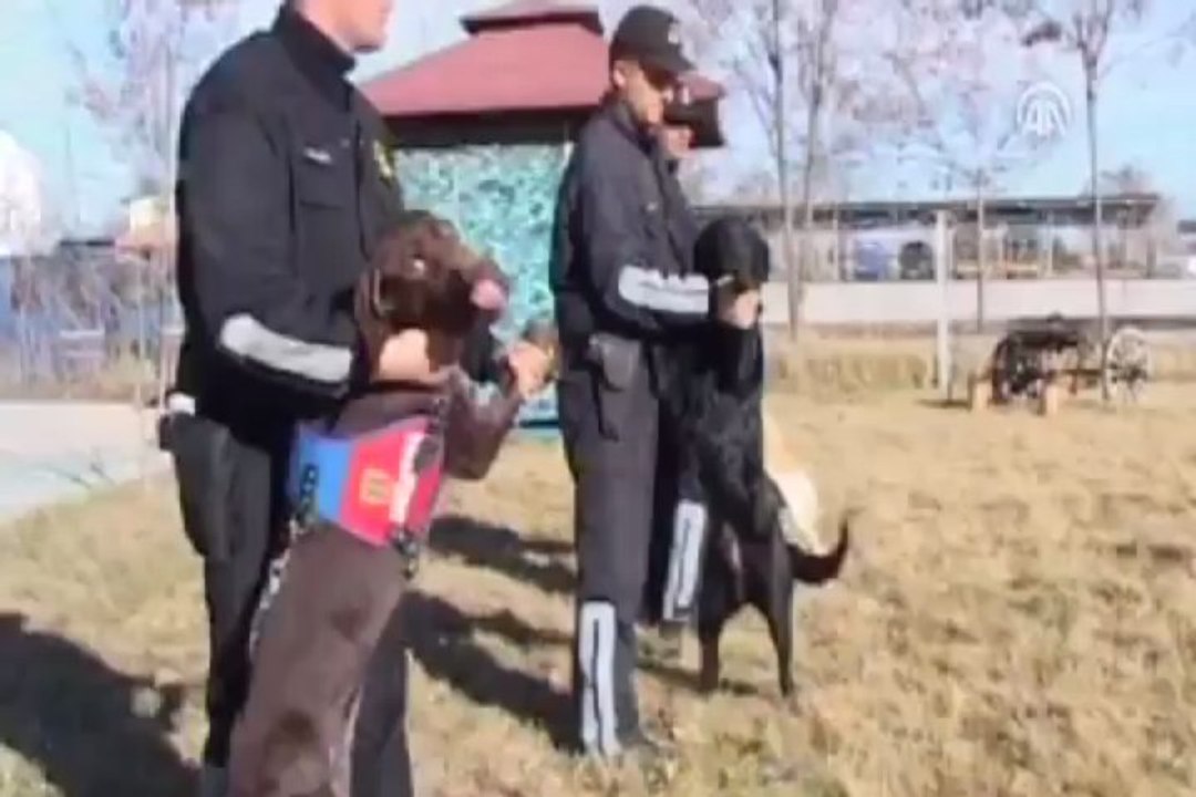 Az bir koku bile onlar için yeterli