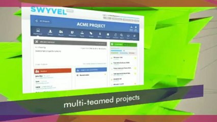 online project management software