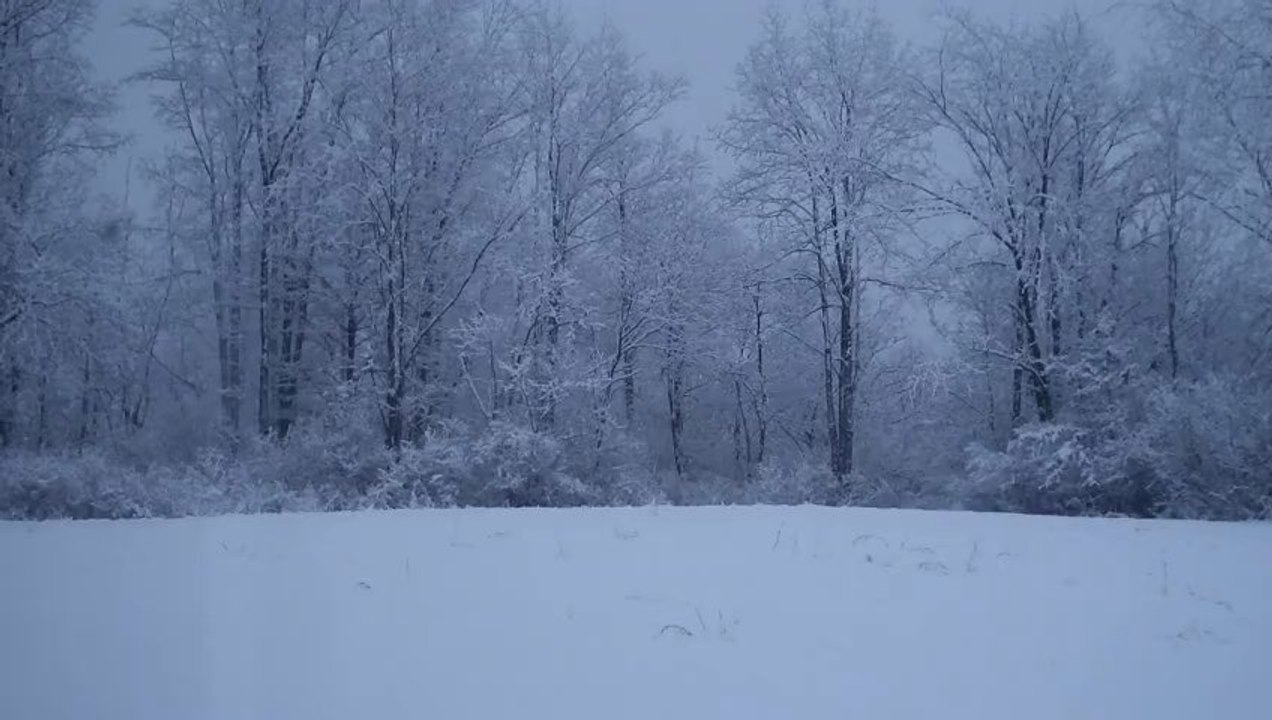 Snow