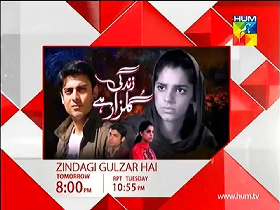 Zindagi Gulzar Hai Episode 12 | Promo HUM TV Drama 15 February 2013