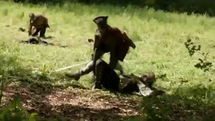 Le sang des farines (extrait)