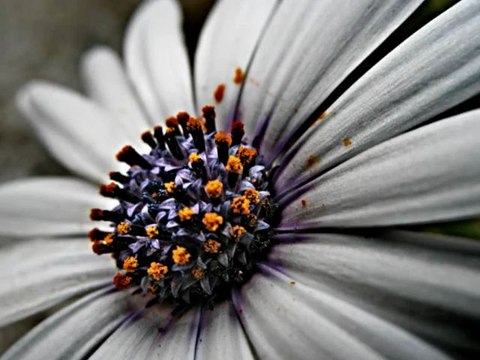 sourat Al-Kahf - تلاوة من سورة الكهف - أنا حقاّ عجزتُ عن وصفها