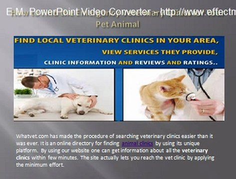5 Important Tips on Choosing the Right Pet Veterinarian