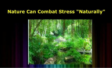 Reduce Stress Levels With These Simple Tips