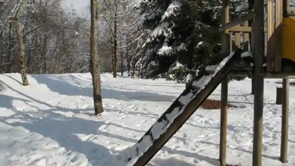 MVI_3226 ski joering