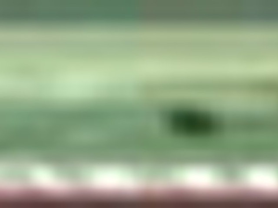 CAN TV - ANA HABER BÜLTENİ VTR (13.02.2013)