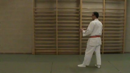 (chudan) o mawashi geri (koshi)