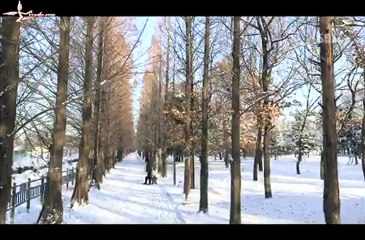 [Vietsub]  Yawang_queen of ambition ep1- part3-4