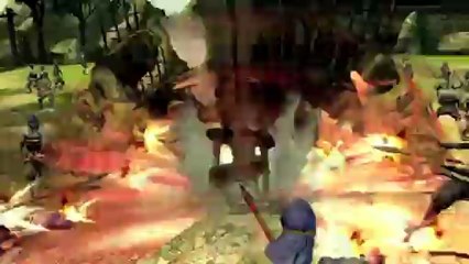 Dynasty Warriors 8 - Taishi Ci