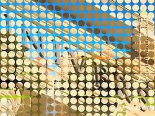 Oaks on Bandera Apartments in San Antonio, TX - ForRent.com