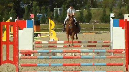 Rock de Kerbily poney 2 Le Mans