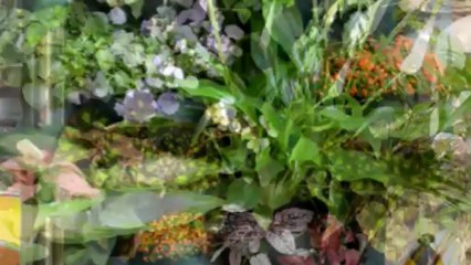 Serge ELPHEGE  LA CITE Sculpture Vitrail