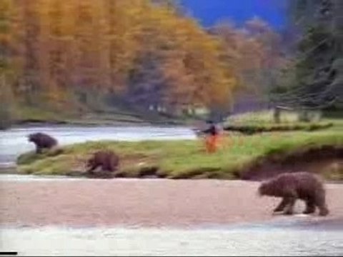 Slayer Kielbasa bears!