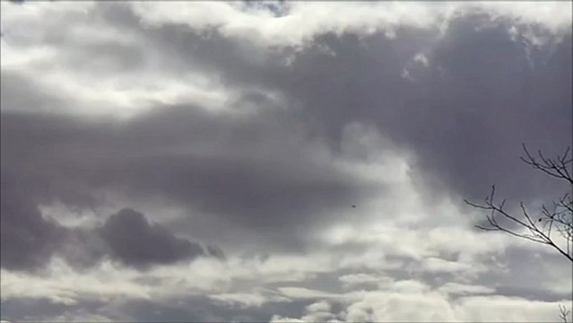 agriturismo abruzzo - birdwatching