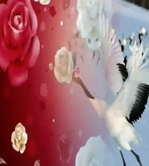 Onur AKIN--SÖYLE TURNAM