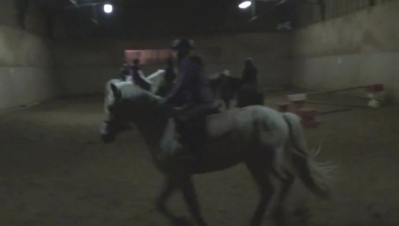 2013 Poney Andra