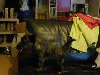 gaffie et nico spécial football novembre 2012