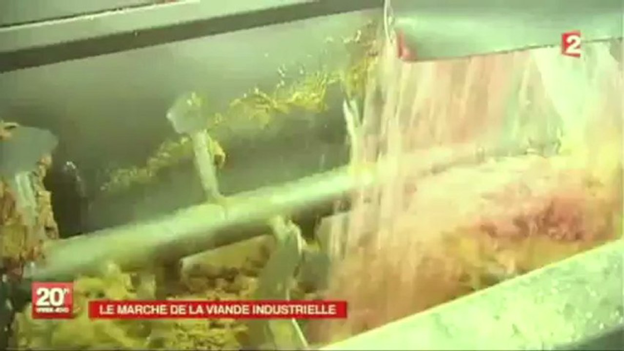 Lasagnes de cheval façon Boby Lapointe