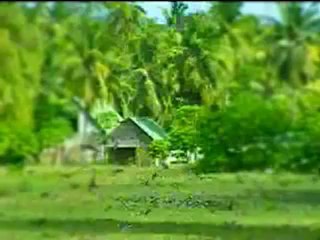 Kur-an-ı Kerim Türkçe Meali 017İsra Süresi