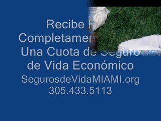 El Costo Seguro Vida Miami