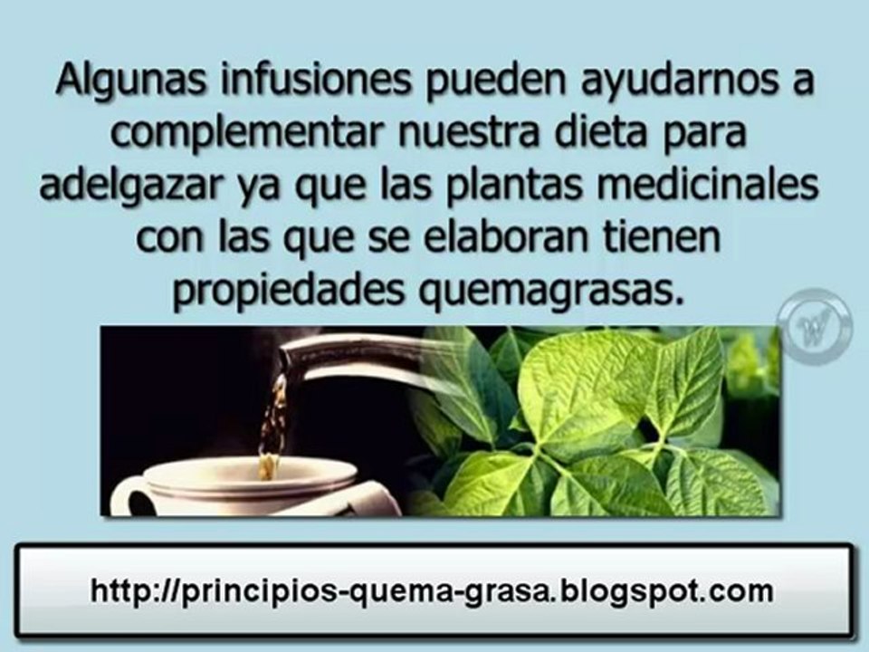 Aprende del factor quema grasa, como reducir tallas.