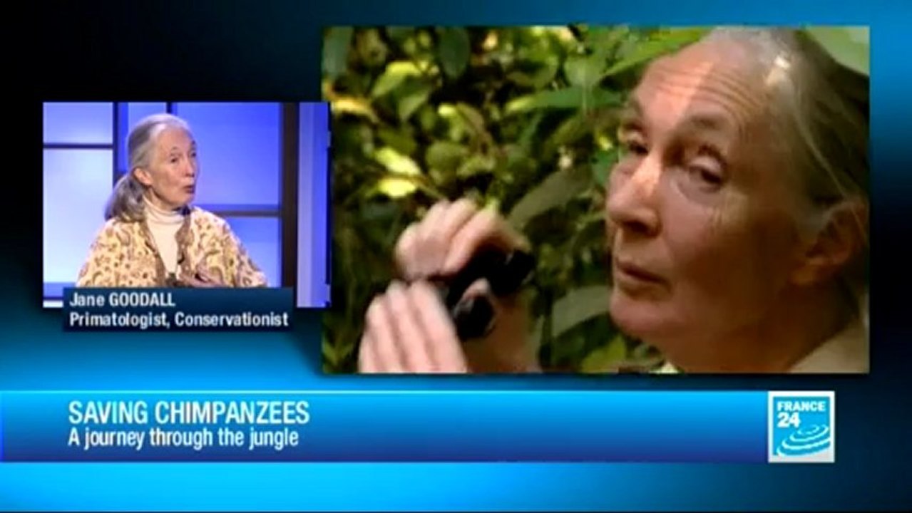 THE INTERVIEW - Dr. Jane Goodall, Primatologist and UN Messenger of Peace
