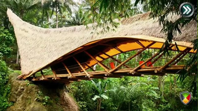 Roger Hamilton - Fast Forward your Business 2013