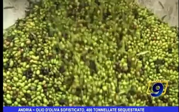 Andria | Olio d'oliva sofisticato, 400 tonnellate sequestrate