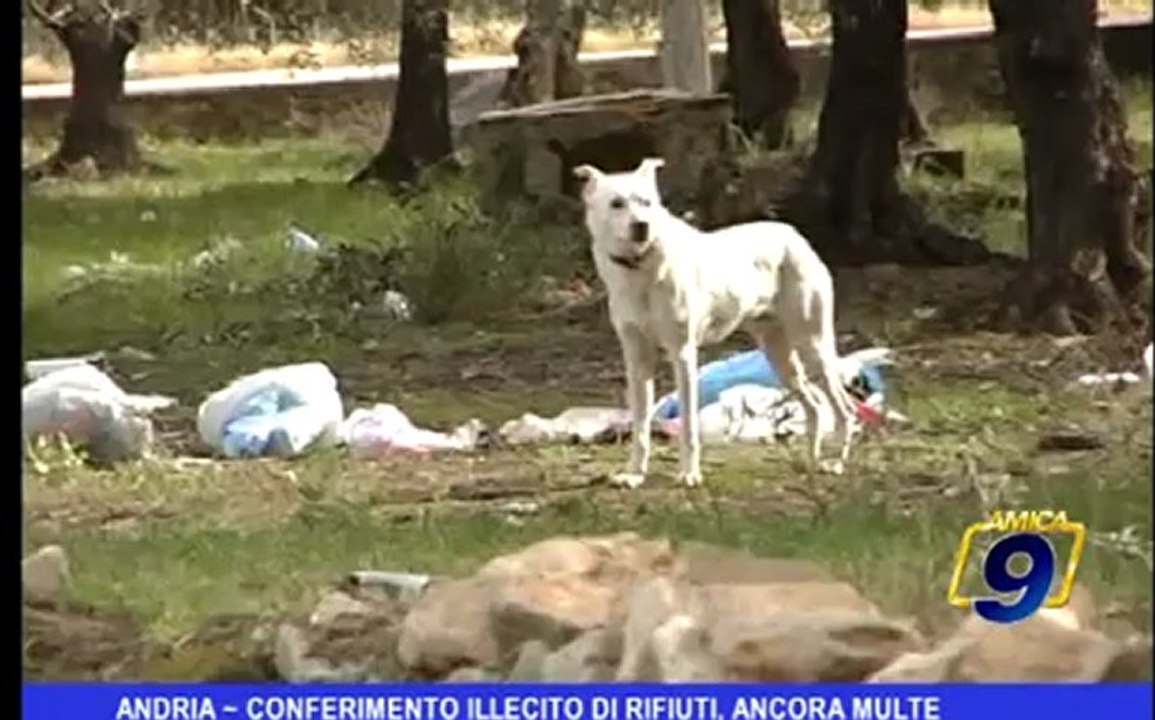 Andria | Conferimento illecito di rifiuti, ancora multe
