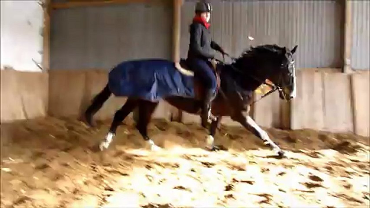 Cuba travail sur le plat dans le manège 26/01/13