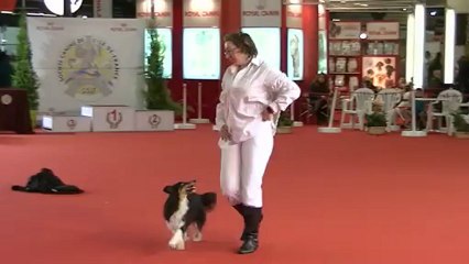 OBR FIXE Paris dog show