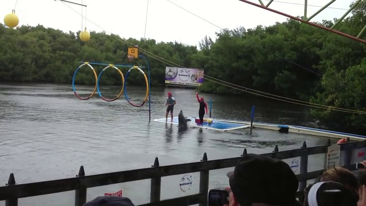 Varadero (CUBA) - Delfinario, spettacolo (25.08.12)