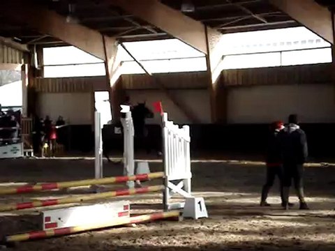 concours Gaillon du 17/02/2013 (2)