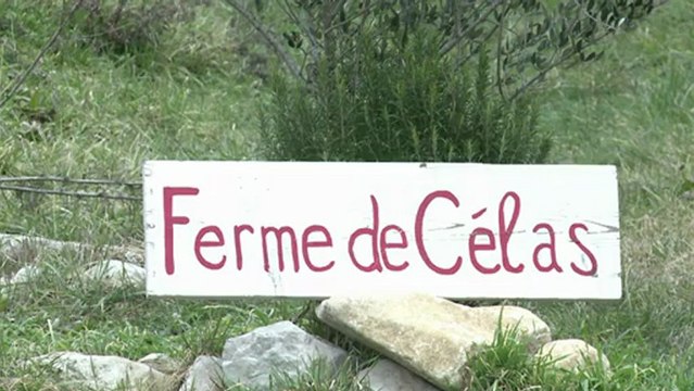 Une éleveuse de brebis, voit l'avenir de l'agriculture en bio