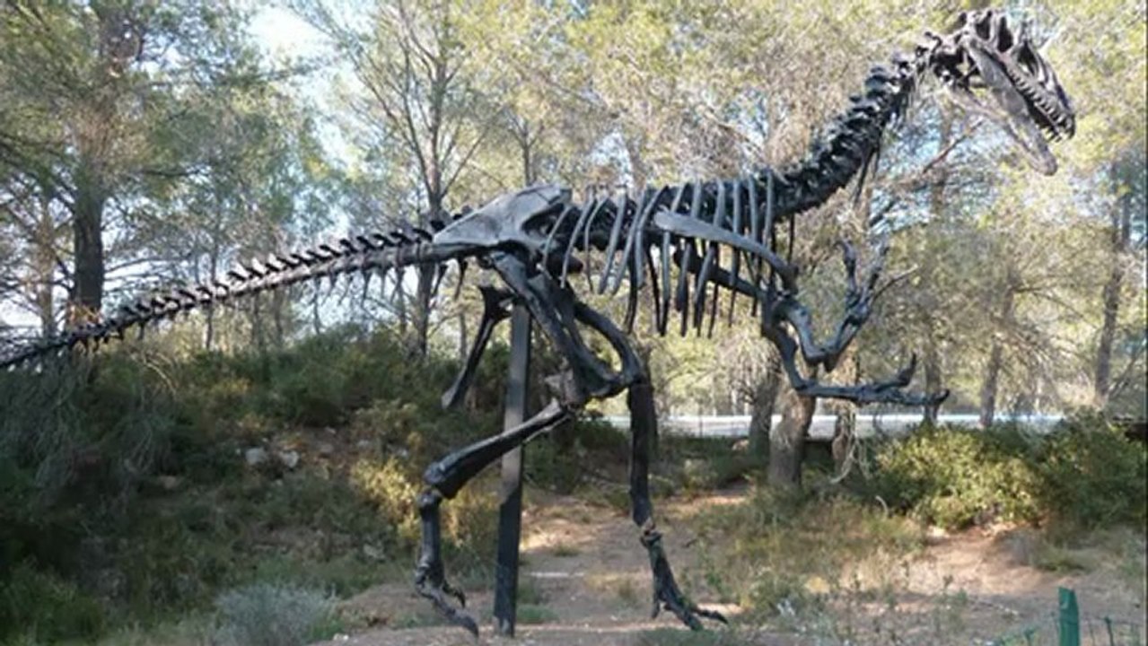 Tristan au Parc des dinosaures de Mèze - 21 Février 2013