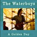THE WATERBOYS - THE PAN WITHIN/BECAUSE THE NIGHT (live album version) HQ