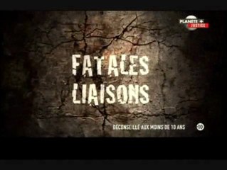 Fatales liaisons (Arme de séduction massive)