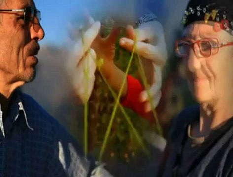 Salih yılmaz yaylanın çimenine.