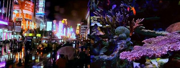 We are all connected