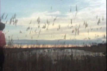 Moon King - Only Child