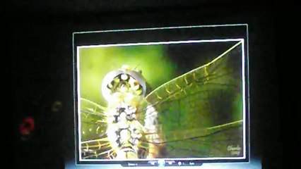 POESÍA DEL MEDITERRÁNEO-EXPOSICIÓN ARTVIRTUAL-JOSÉ CARLOS LLORÉNS