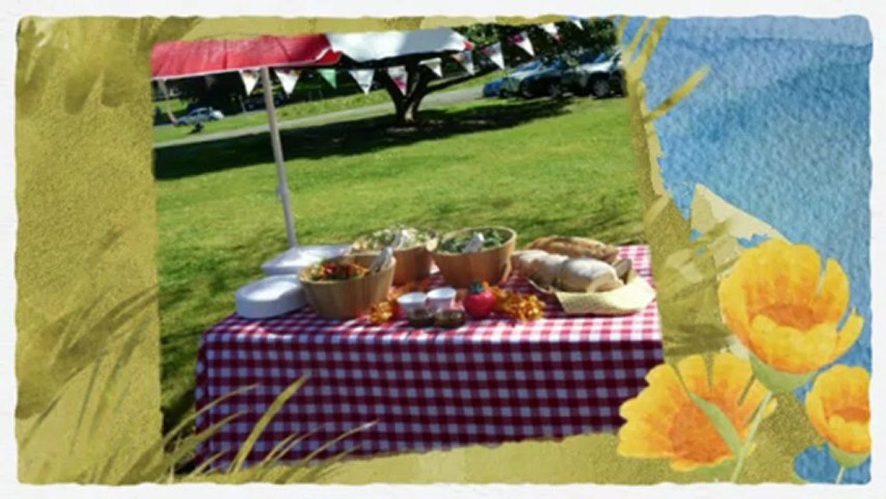 Picnic Spot: Barossa Valley