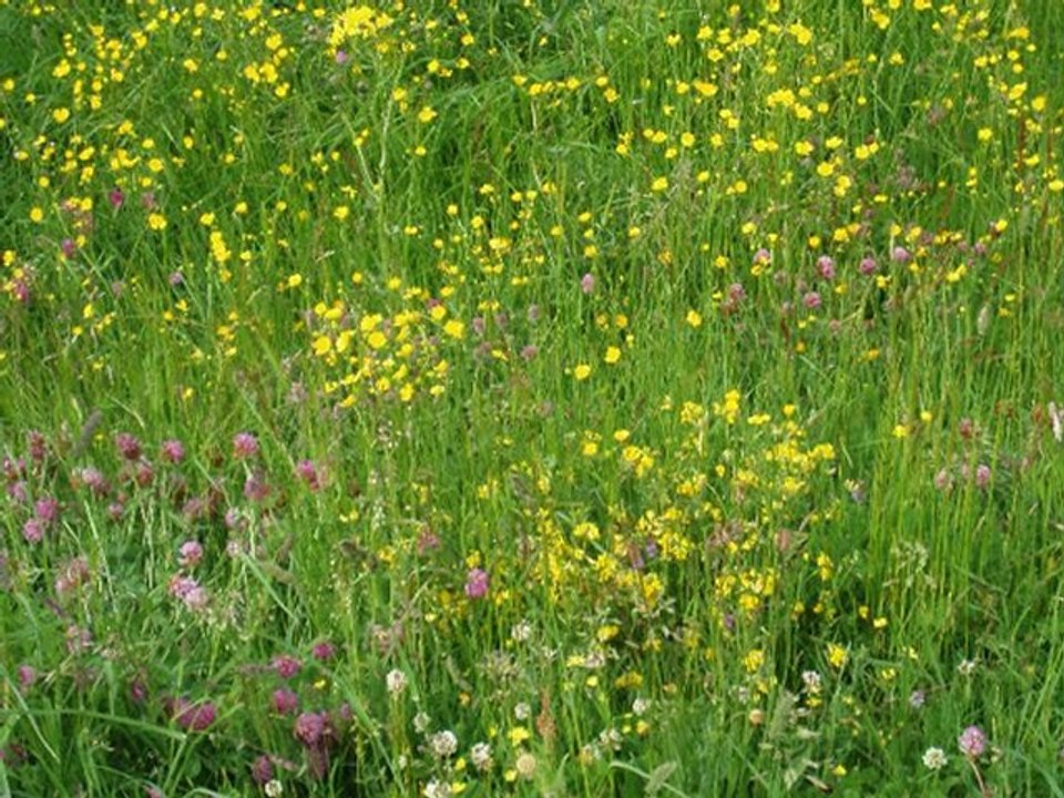 8°JOUR D'Agde à Brigneau en vélo du 3 au 18 juin 2009. Trois mois après avoir pris ma retraite je traversais toute la France à vélo, en solitaire... 8° JOURS