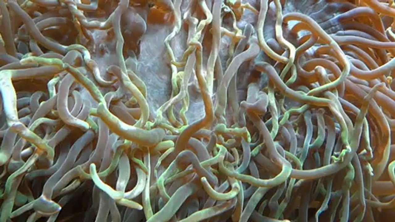 Underwater