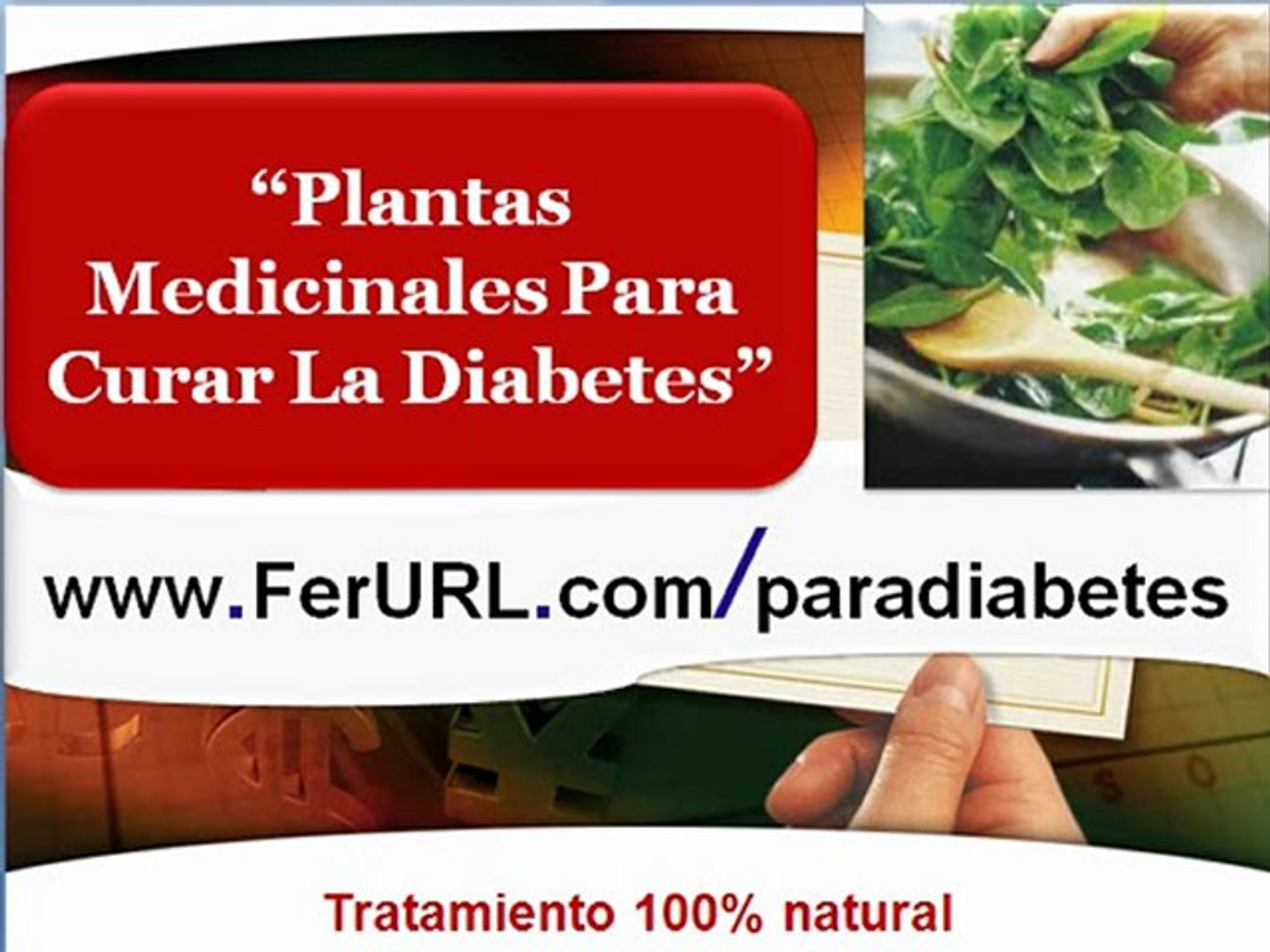 Plantas medicinales para curar la diabetes naturalmente - Vídeo Dailymotion