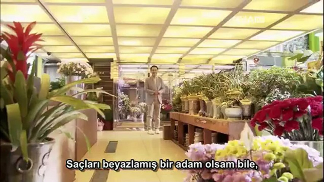 GWifE07.F2