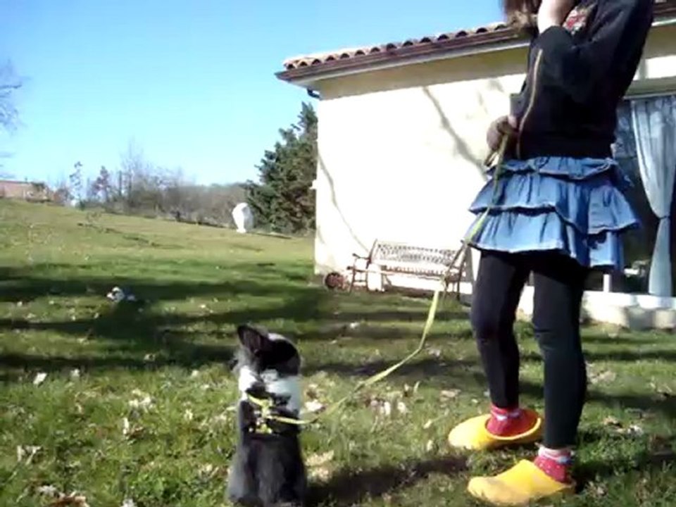 Moustache en ballade